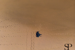 DJI_0318
