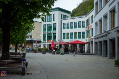 IMG_6071